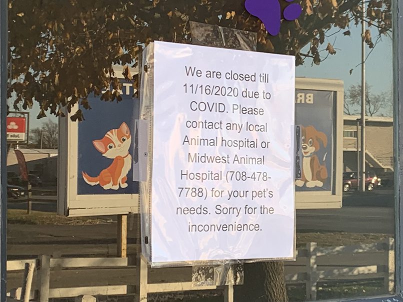Bradley Animal Hospital closed after COVID cases, reopening Nov. 16th -  Country Herald